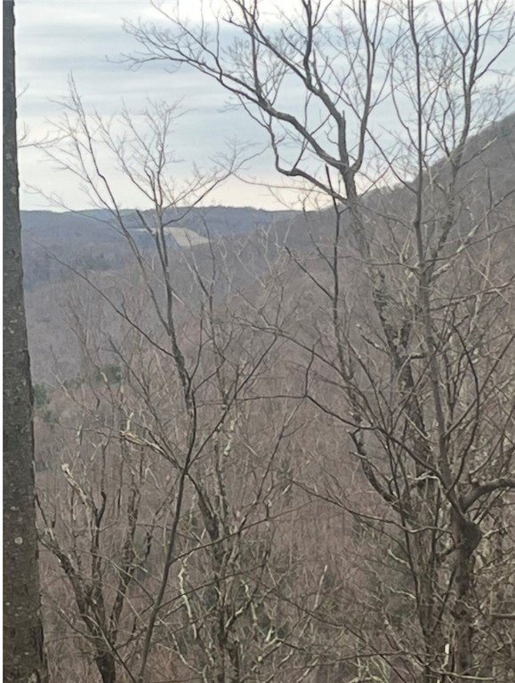 Houck Mountain Road East Branch, NY 13756 - Photo 11 of 16