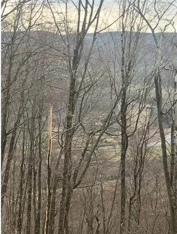 $69,000 | Houck Mountain Road, East Branch, NY 13756