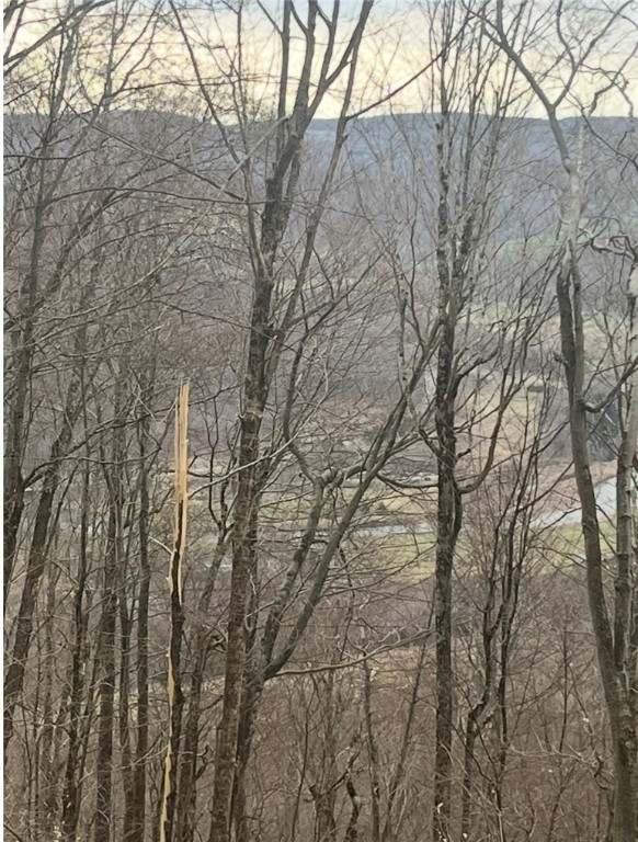 Houck Mountain Road East Branch, NY 13756 - Photo 12 of 16