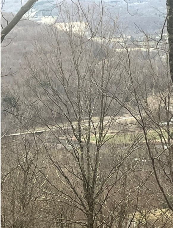 Houck Mountain Road East Branch, NY 13756 - Photo 13 of 16