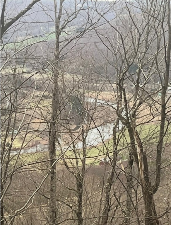 Houck Mountain Road East Branch, NY 13756 - Photo 14 of 16