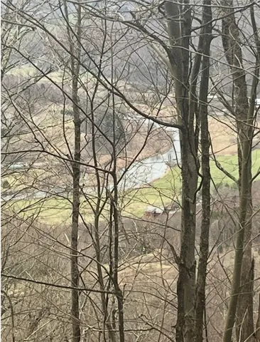 $69,000 | Houck Mountain Road, East Branch, NY 13756