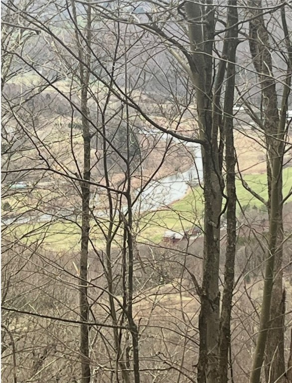 Houck Mountain Road East Branch, NY 13756 - Photo 15 of 16