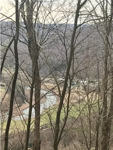 $69,000 | Houck Mountain Road, East Branch, NY 13756