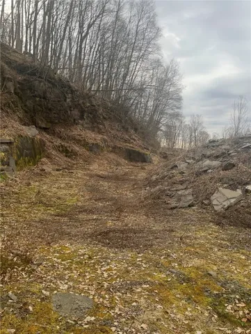 $69,000 | Houck Mountain Road, East Branch, NY 13756