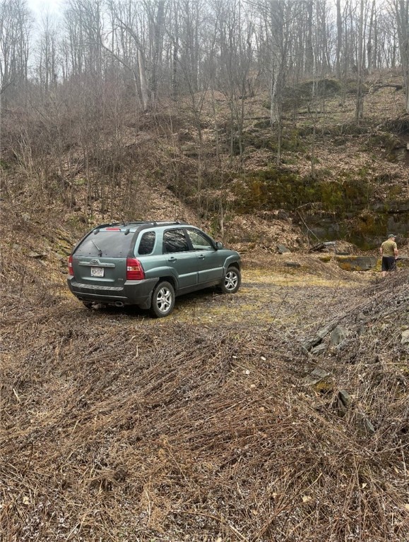 Houck Mountain Road East Branch, NY 13756 - Photo 3 of 16