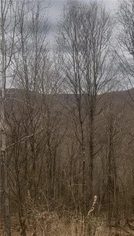 $69,000 | Houck Mountain Road, East Branch, NY 13756