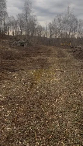 $69,000 | Houck Mountain Road, East Branch, NY 13756