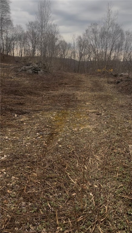 Houck Mountain Road East Branch, NY 13756 - Photo 5 of 16