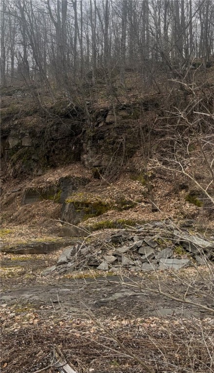 Houck Mountain Road East Branch, NY 13756 - Photo 6 of 16