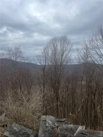 $69,000 | Houck Mountain Road, East Branch, NY 13756