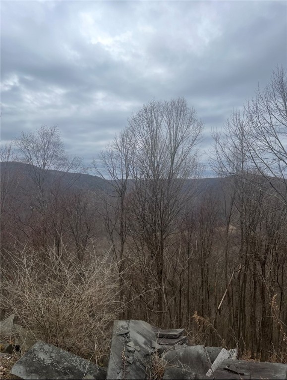 Houck Mountain Road East Branch, NY 13756 - Photo 7 of 16