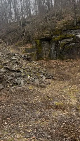 $69,000 | Houck Mountain Road, East Branch, NY 13756