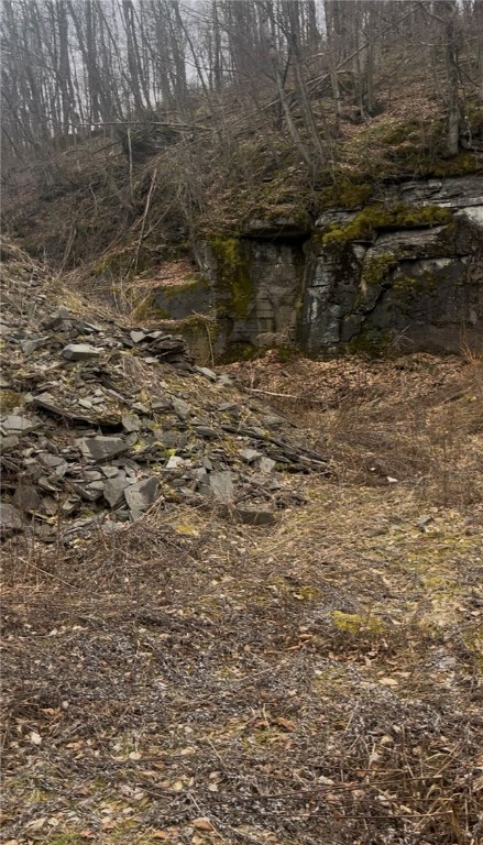 Houck Mountain Road East Branch, NY 13756 - Photo 8 of 16