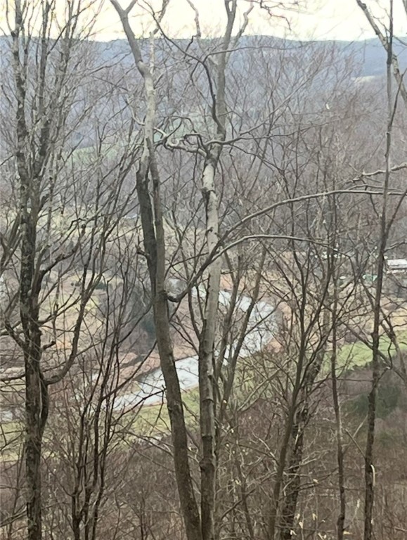 Houck Mountain Road East Branch, NY 13756 - Photo 9 of 16