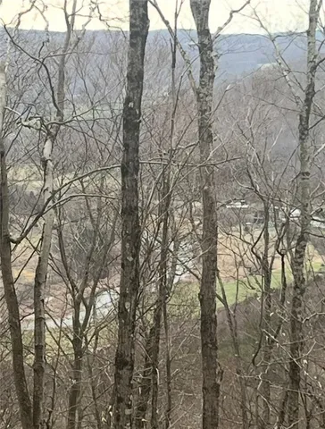 $69,000 | Houck Mountain Road, East Branch, NY 13756