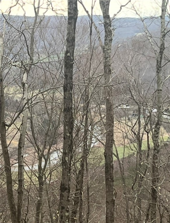 Houck Mountain Road East Branch, NY 13756 - Photo 10 of 16