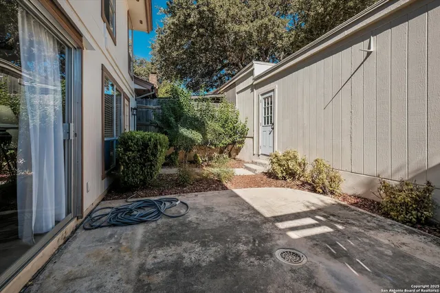 a view of a backyard with plants and a bench under a large tree