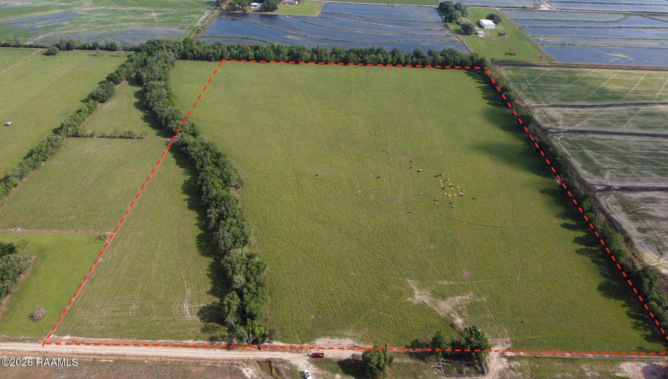 35-ac Howard Road Iota, LA 70543 - Photo 1 of 4 IMG_6284 copy