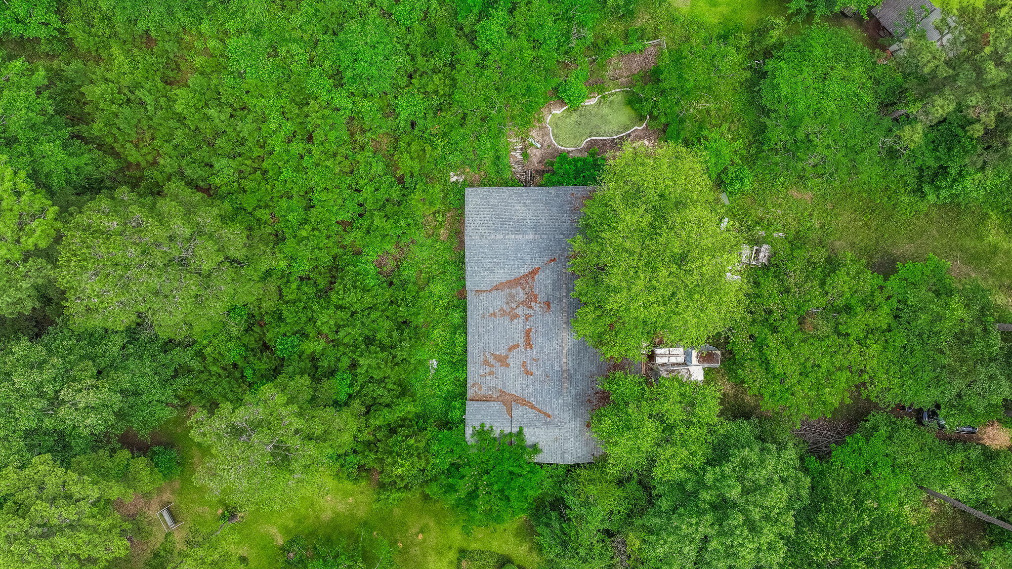 1384 Tom Charles Road Summerton, SC 29148 - Photo 6 of 14 5