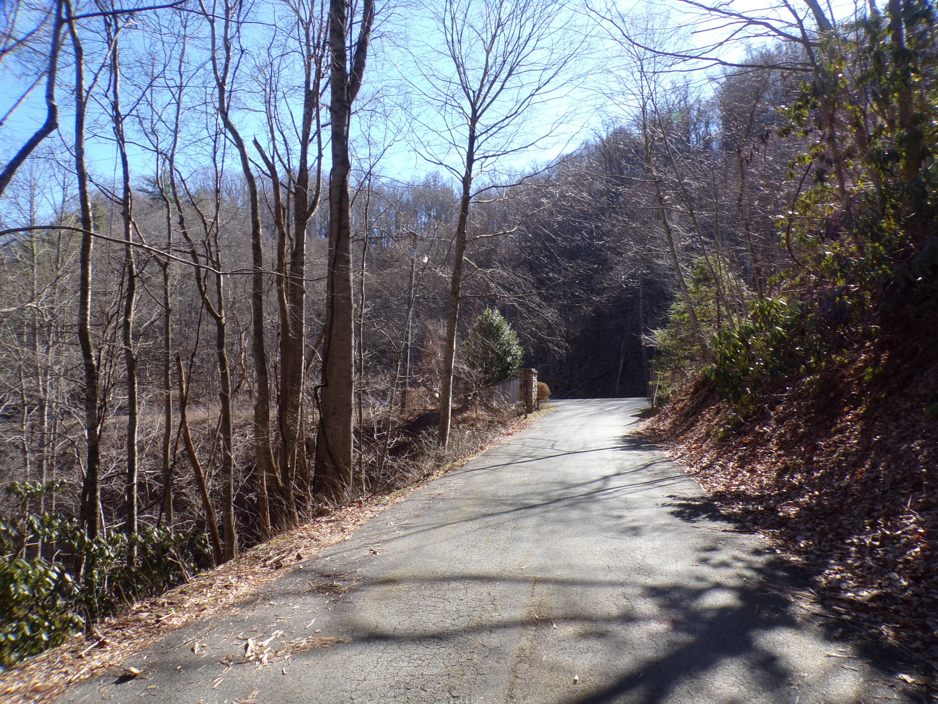 140 Banjo Ridge Road, Unit 2 Butler, TN 37640 - Photo 3 of 6 103_6722
