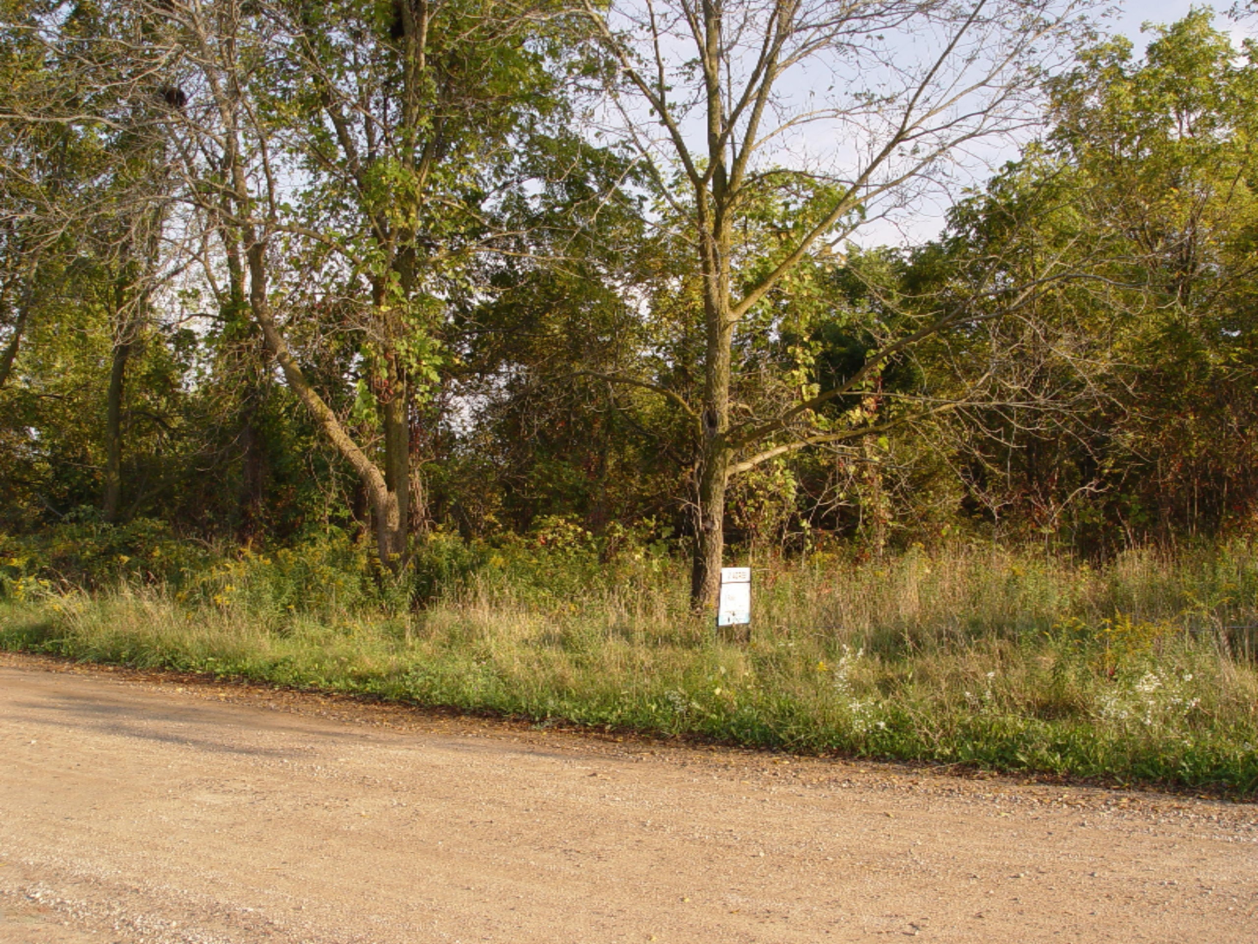 2959 Bonanza Road Lake Odessa, MI 48849 - Photo 1 of 2 DSC03143