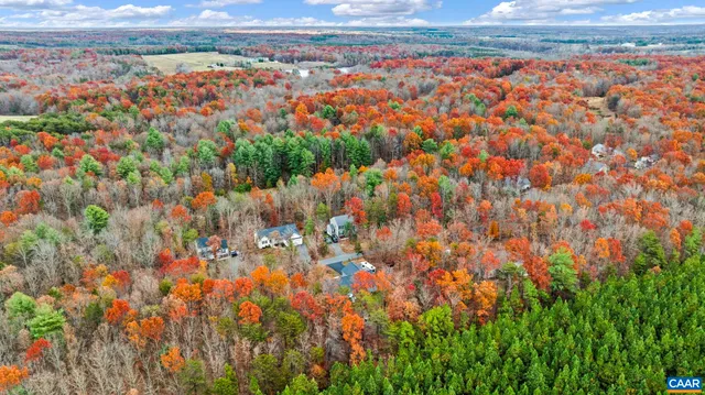 a view of a yard with large trees