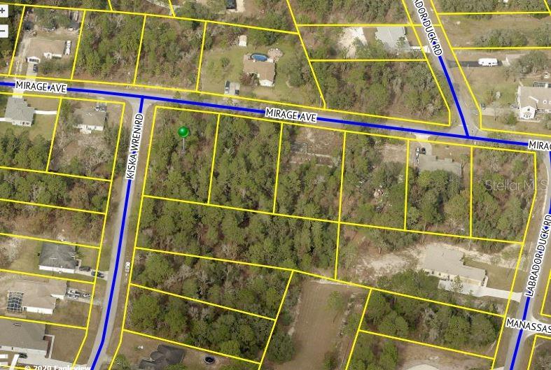 11282 Kiska Wren Road Weeki Wachee, FL 34614 - Photo 1 of 1 Gallery Image 1