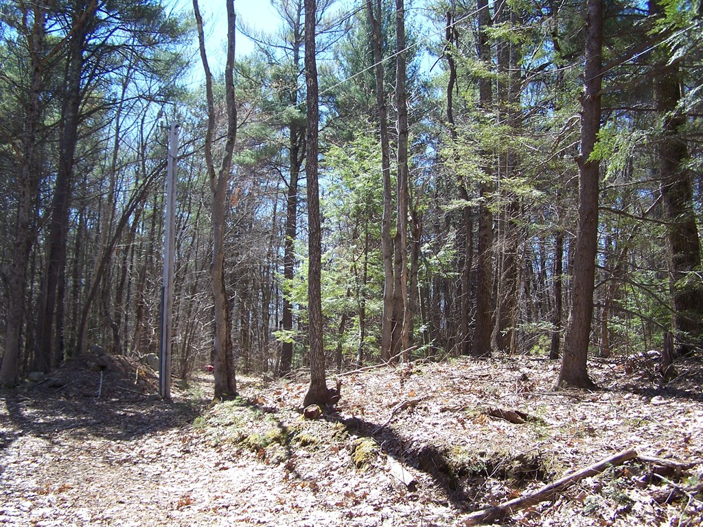 90 Bushy Lane Rutland, MA 01543 - Photo 1 of 1