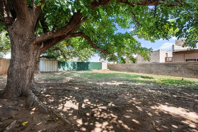 a view of a yard with plants and large trees