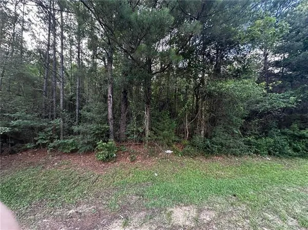$75,000 | Tbd Ebenezer Cemetery Road, Leesville, LA 71446