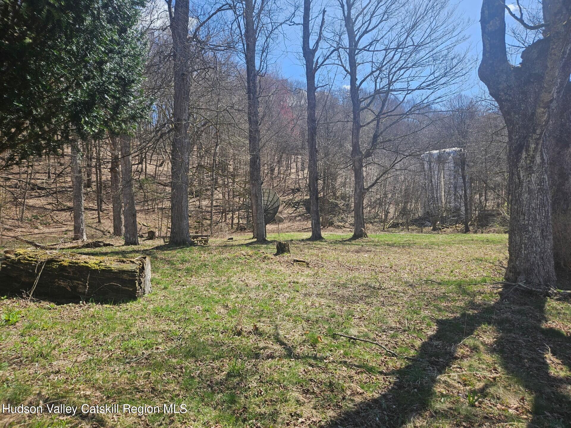 2374 River Road Downsville, NY 13755 - Photo 3 of 10 Clearing