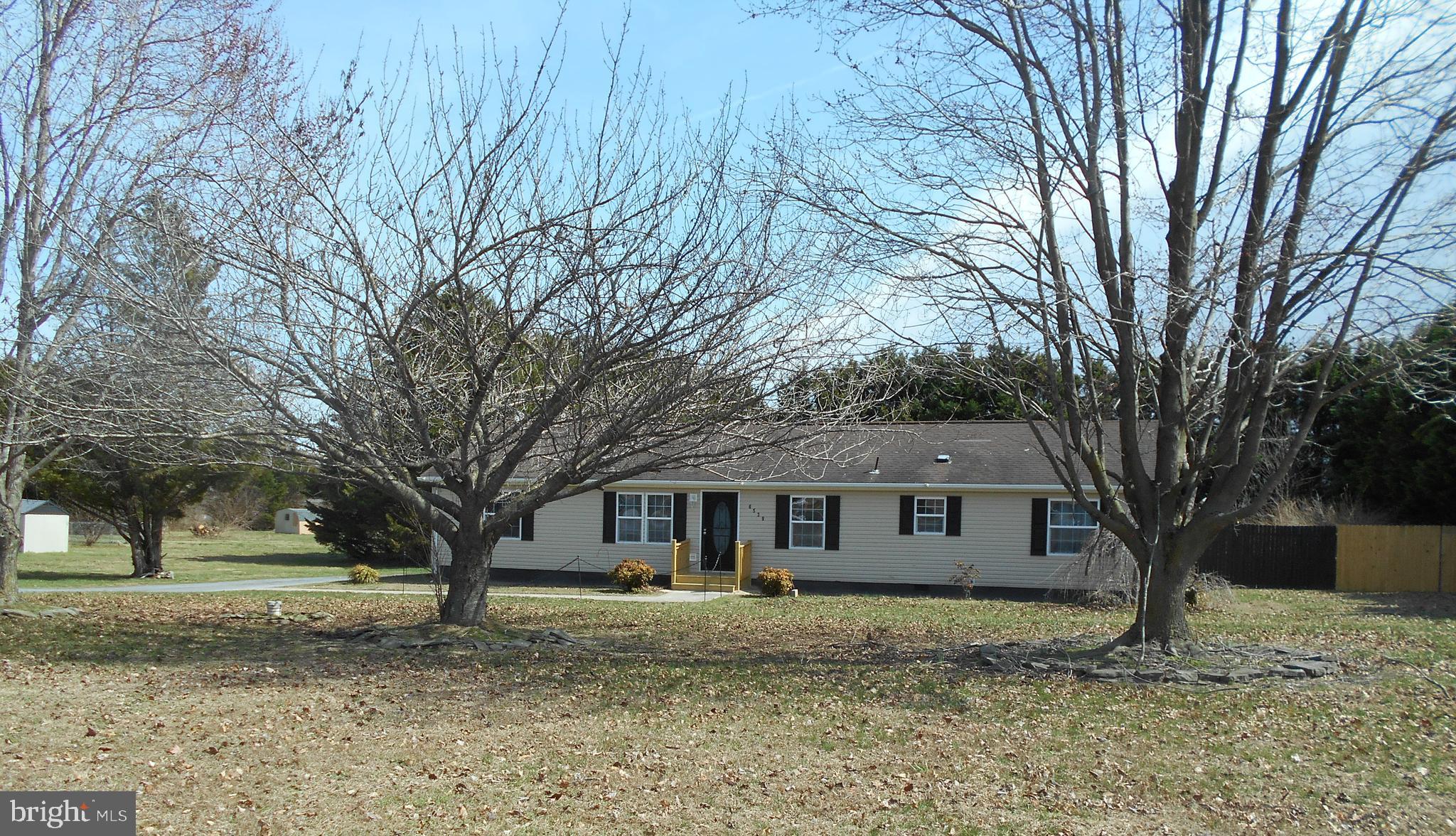 a large tree in front of a house