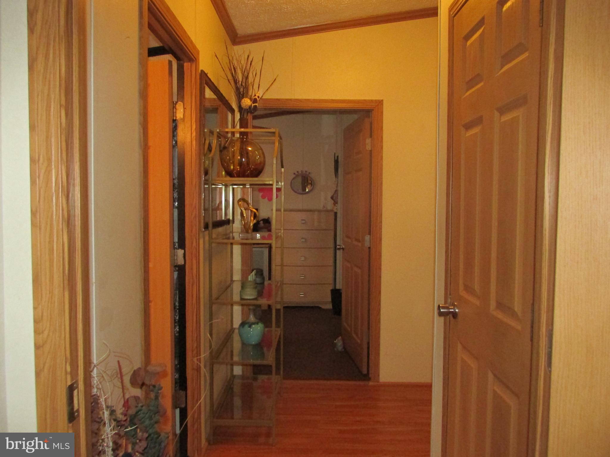 6539 Cabin Ridge Road Hurlock, MD 21643 - Photo 18 of 31 a bathroom with a shower