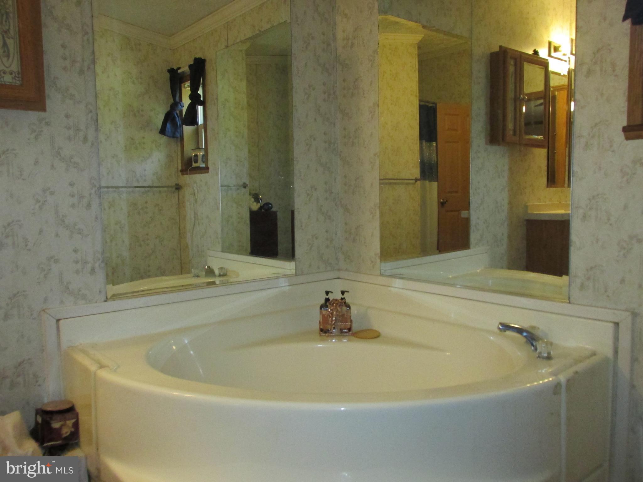 6539 Cabin Ridge Road Hurlock, MD 21643 - Photo 27 of 31 a bath tub sitting next to a bathroom sink