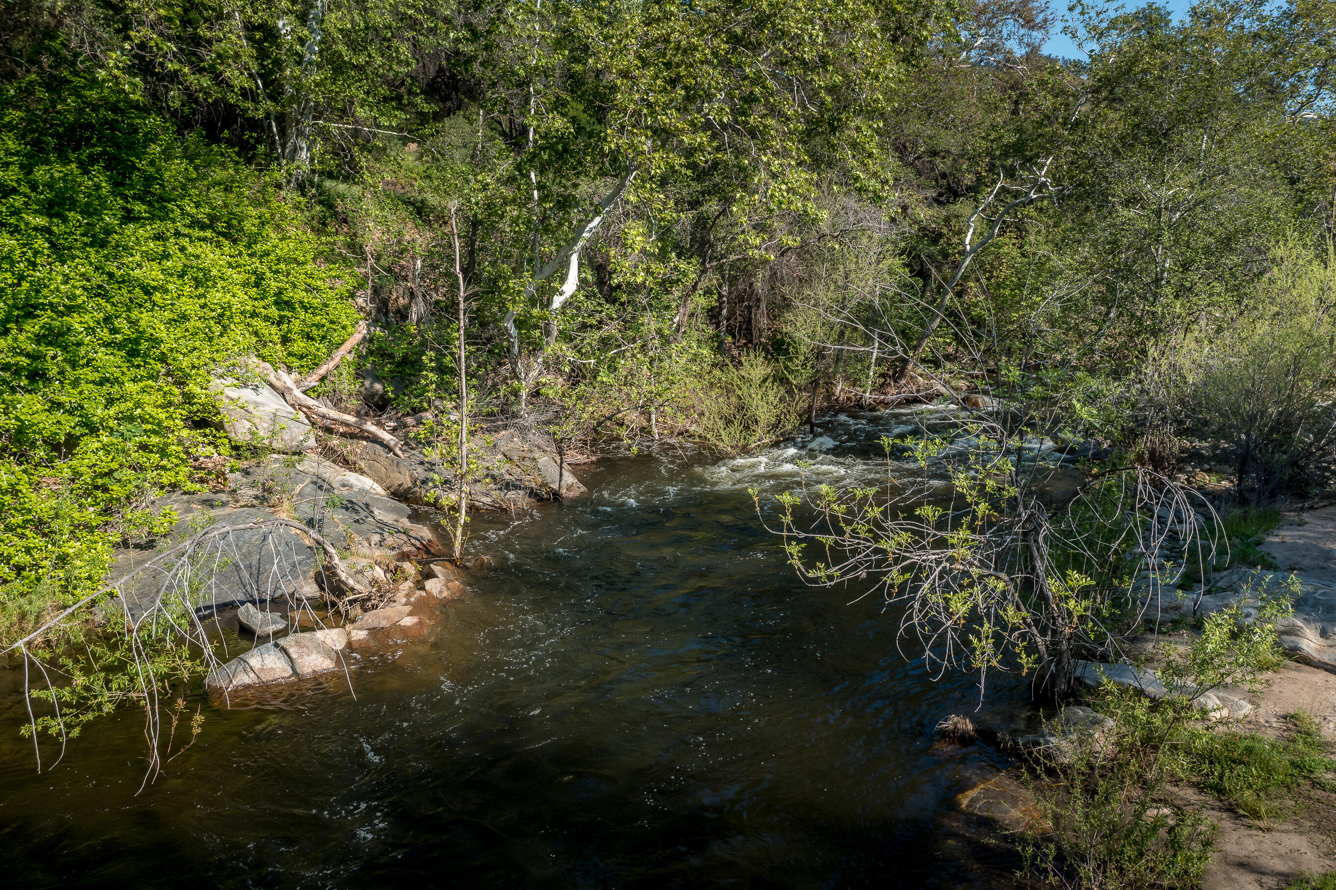 44335 North Fork Three Rivers, CA 93271 - Photo 19 of 53 DJI_0179-HDR