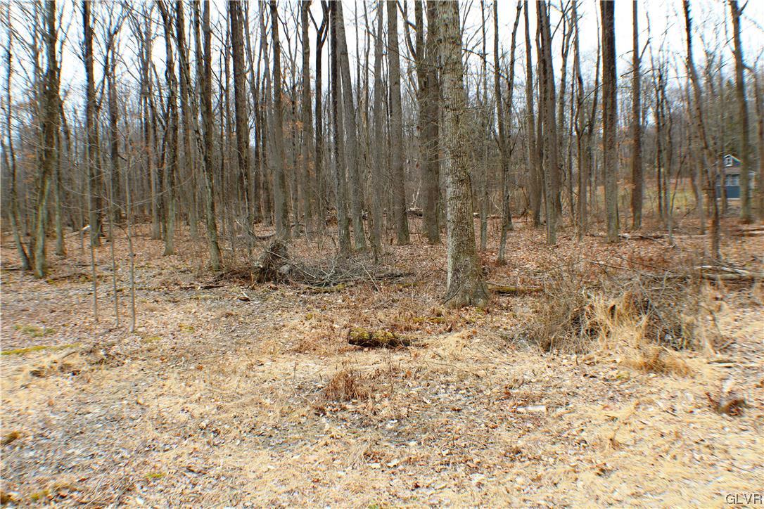 152 Baron Road Wind Gap, PA 18091 - Photo 5 of 8 a view of wooden fence with tall trees