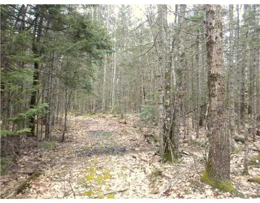 602 Union Road Waldoboro, ME 04572 - Photo 12 of 24 Land.