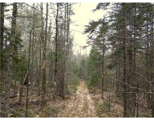 602 Union Road Waldoboro, ME 04572 - Photo 13 of 24 Land.