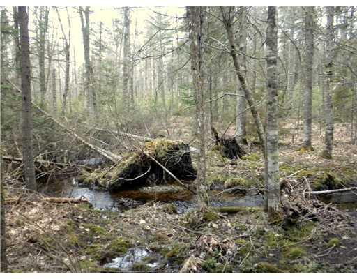 602 Union Road Waldoboro, ME 04572 - Photo 10 of 24 Land.