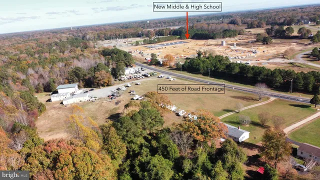 a view of a town with big trees