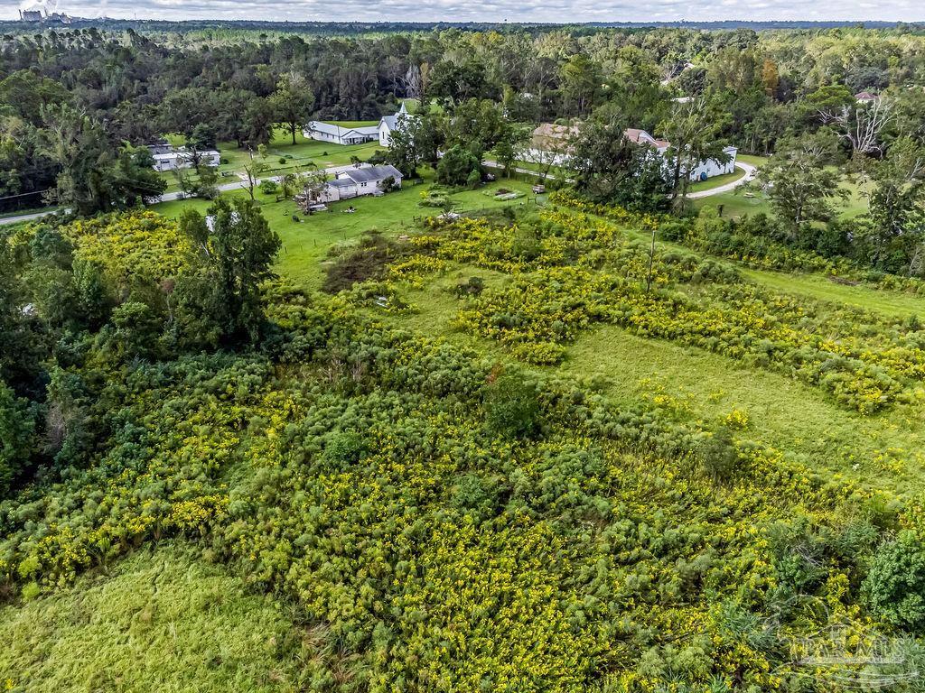 276 Williams Ditch Road Cantonment, FL 32533 - Photo 37 of 50