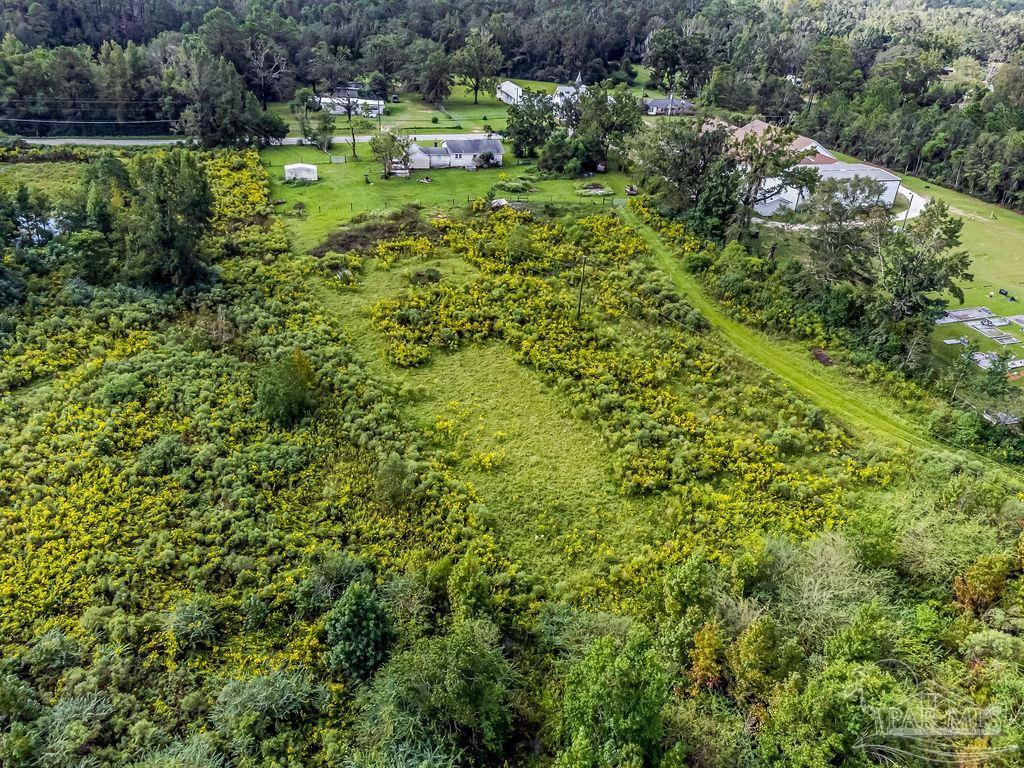 276 Williams Ditch Road Cantonment, FL 32533 - Photo 38 of 50