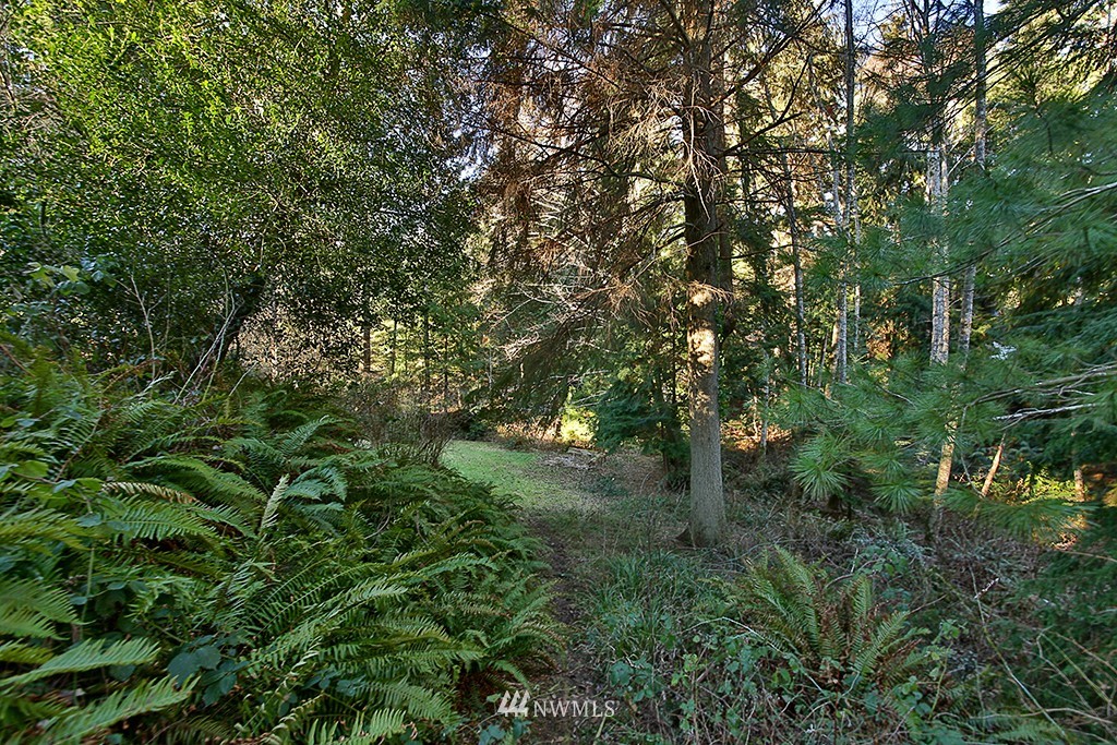 4179 Timberline Road Clinton, WA 98236 - Photo 23 of 25 Gallery Image 23
