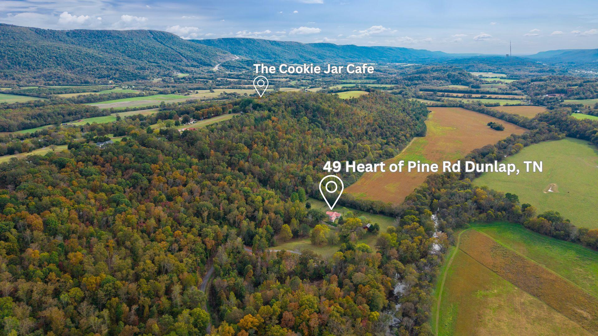 49 Hart Of Pine Road Dunlap, TN 37327 - Photo 109 of 126 49 Heart of Pine Cookie Jar Ceafe
