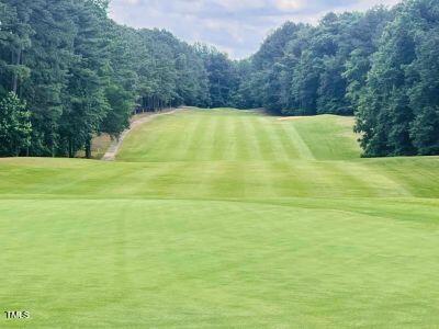 118 Rustler Road Louisburg, NC 27549 - Photo 4 of 8 a view of an ocean view