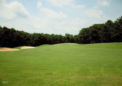 118 Rustler Road Louisburg, NC 27549 - Photo 5 of 8 a view of a green yard with a house