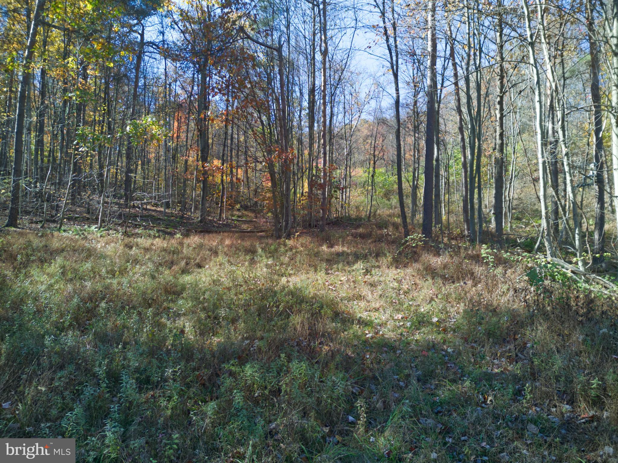 747 Baughman Hollow Road Tyrone, PA 16686 - Photo 12 of 19 Gallery Image 12