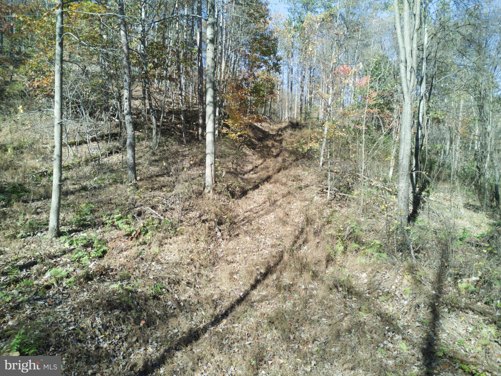 747 Baughman Hollow Road Tyrone, PA 16686 - Photo 9 of 19 Gallery Image 9
