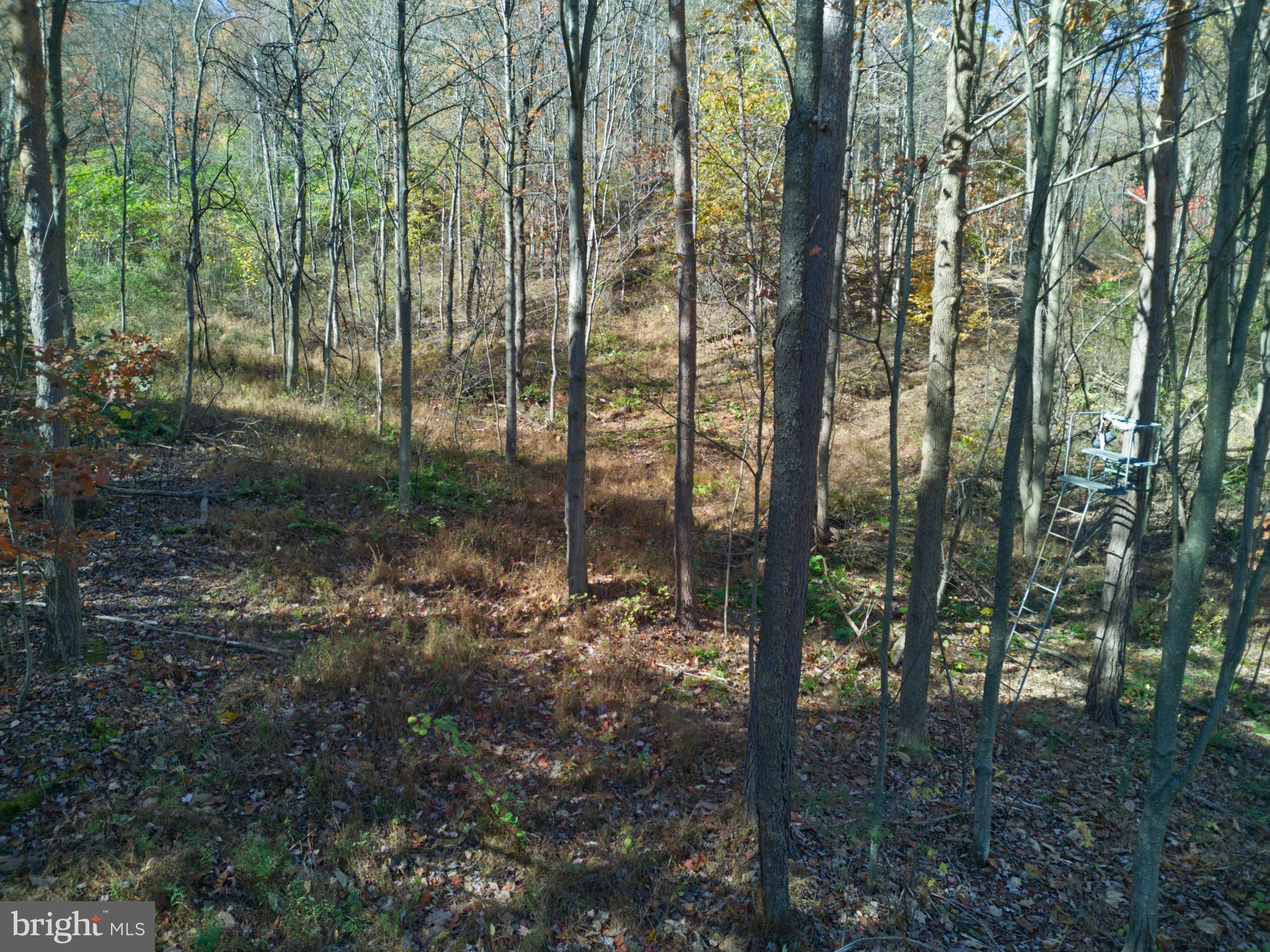 747 Baughman Hollow Road Tyrone, PA 16686 - Photo 10 of 19 Gallery Image 10